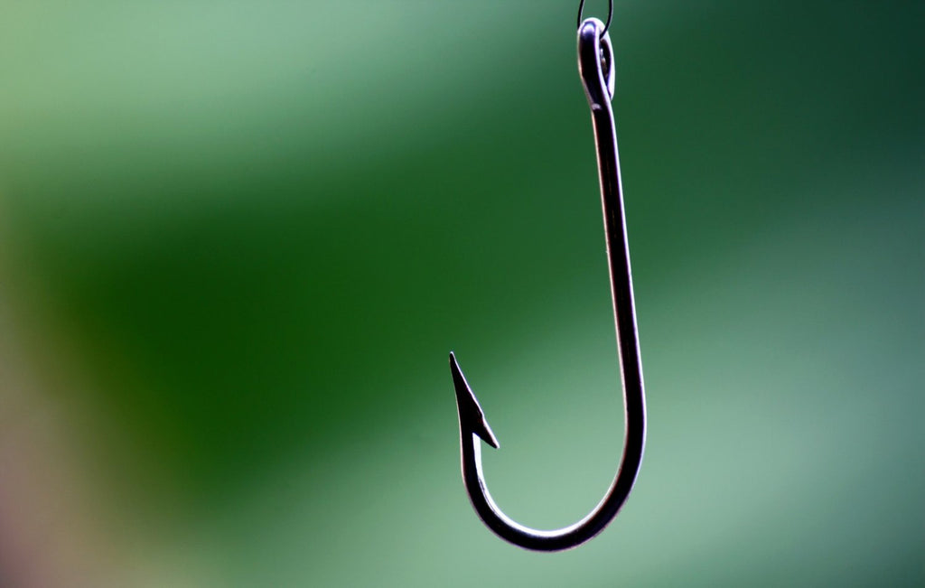 The Best Hooks For Freshwater Fishing