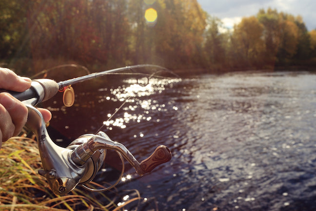 Fall Fishoing Top Baits For Fall Fishing – FishVault