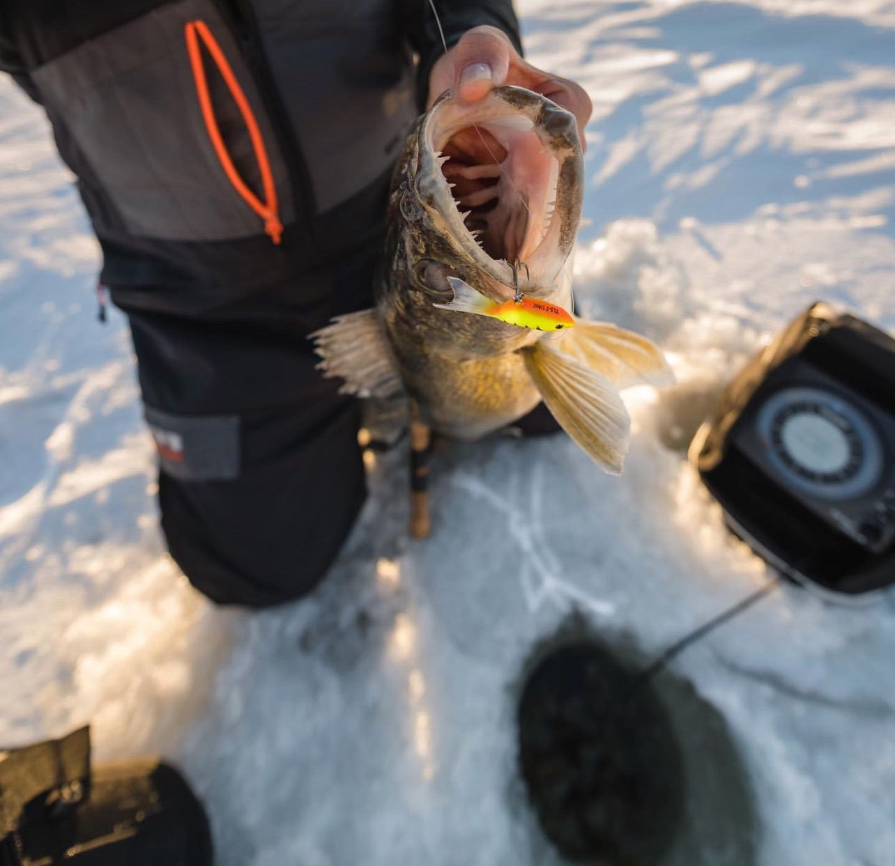 best cold water bass lure Top Bundle I Cold Water Confidence Baits :