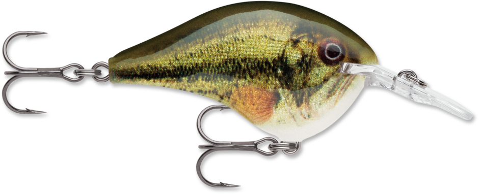 Rapala DT8 Crankbait